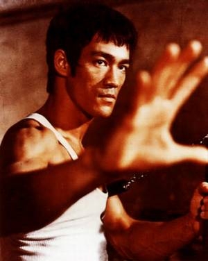 A Sarkany - Bruce Lee Elete [1993]