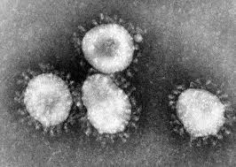 Minden forgatókönyv szerint hamarosan lelassul a koronavírus, talán el is tűnik
