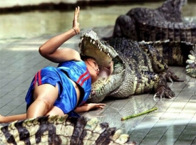 A krokodil