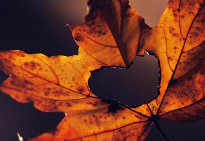 Akik nem kérnek a magyar politikai szektákból