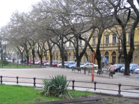 Honvágy
