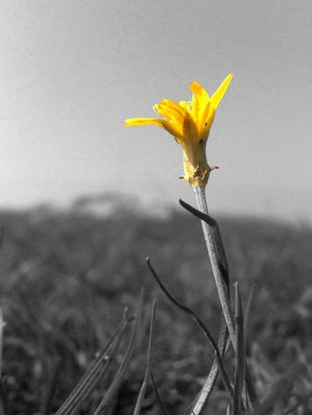 A belgrádi szeparatizmus veri szét Szerbiát!