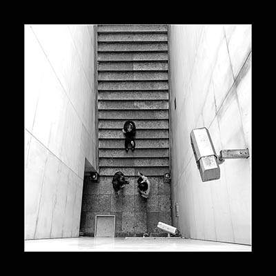 A biztonságos államtól a rendőrállamig