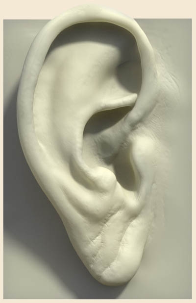 A  fül