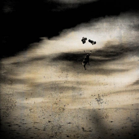 Kiváló vérvonalú vadászkutyámat mégis eladnám