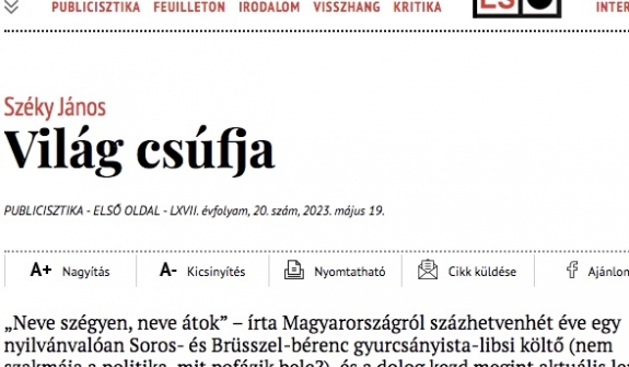 Világ csúfja