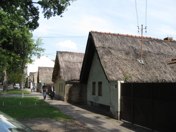 A kisebbségi magyar író a beszűkülő magyar világ hűséges foglya lett