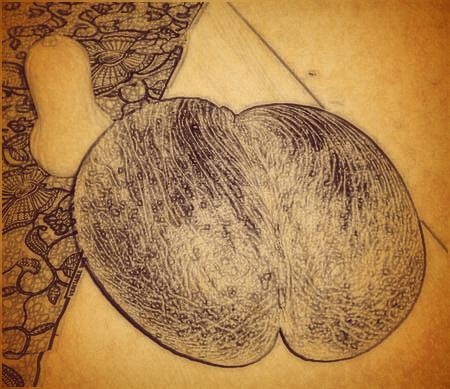 Seksom protiv jebanja u mozak