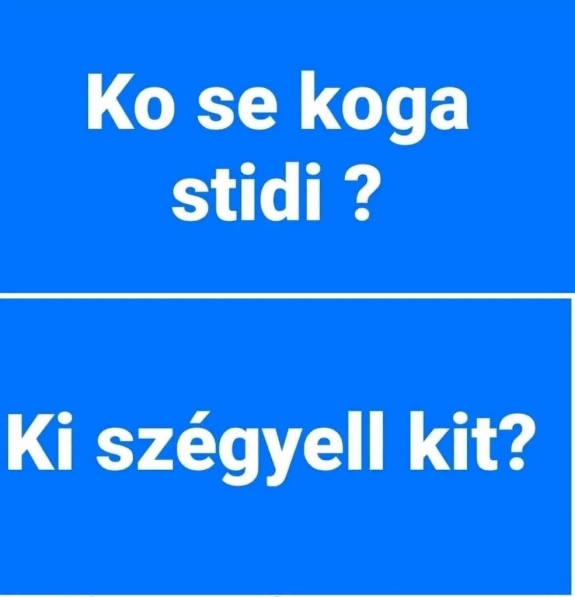 VMDK: MIÉRT SZÉGYELLIK A PÁSZTORÉK VUČIĆOT❓