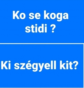 VMDK: MIÉRT SZÉGYELLIK A PÁSZTORÉK VUČIĆOT❓