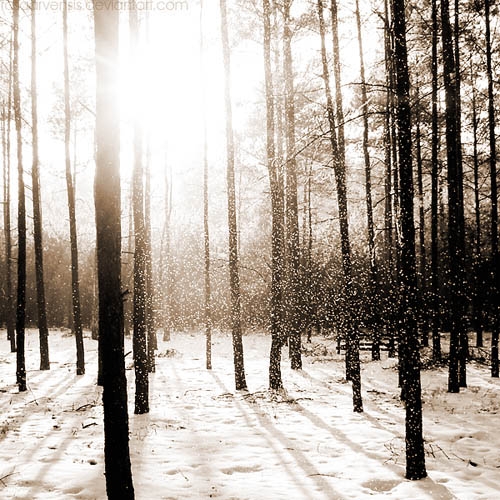 Tapasztalat szülte megállapítások