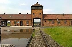 A holokauszt és a történelmi emlékezet