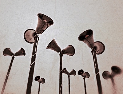 Csirke, kakas, takony, lószar