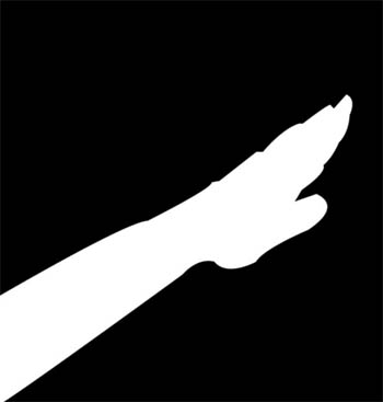 A Hatvannégy Vármegye betiltását követelik Szerbiában