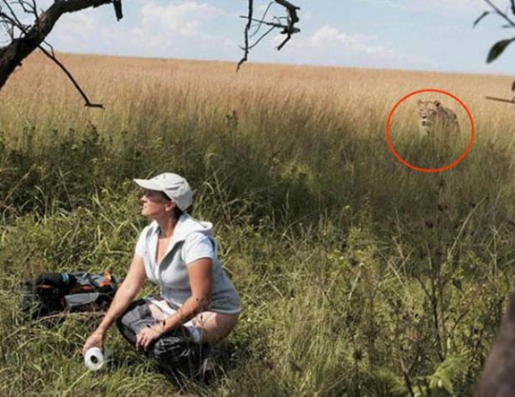 Emlék egy szafariról